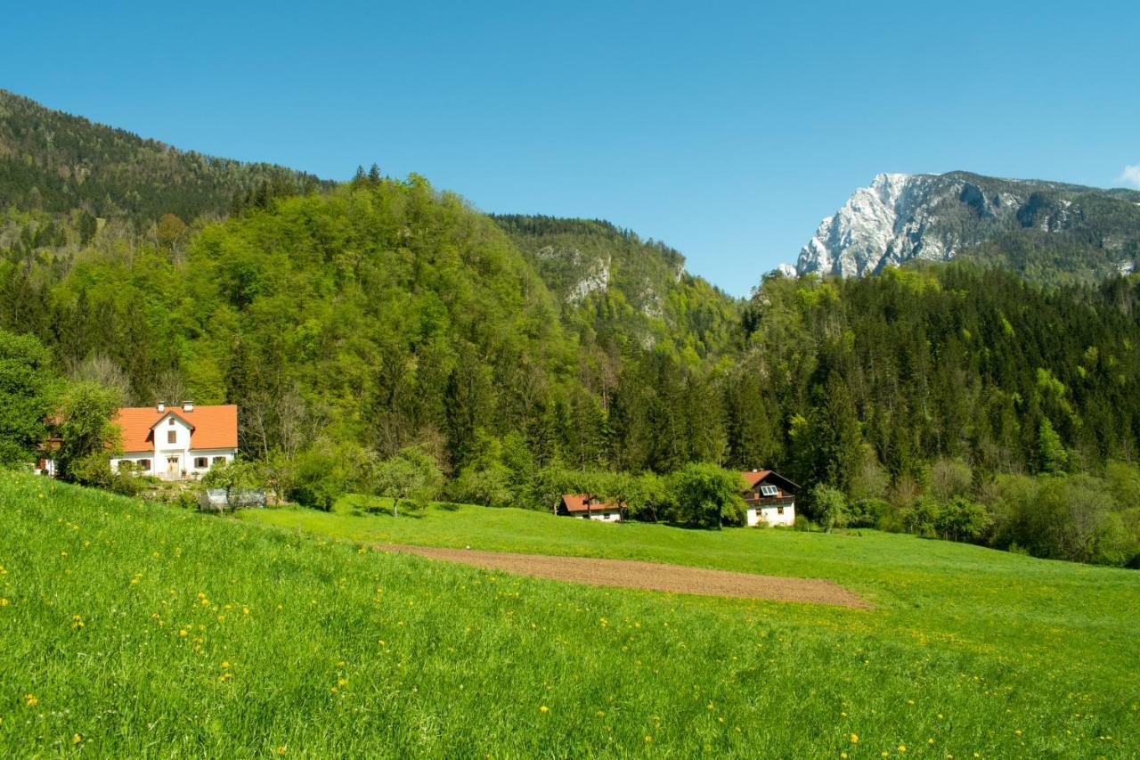 Turisticna Kmetija Stoglej *